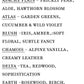 Fine Fragrance Spray | Choose Your Scent  - 3.4oz