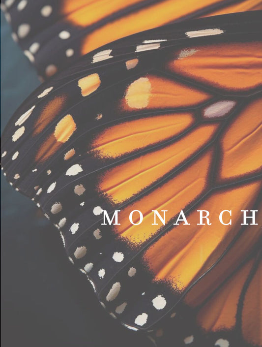 Botanical Body Lotion | 8oz - 240ml  | MONARCH